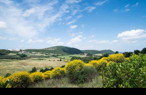 Trequanda Villa | Villa Cielo Deluxe - Cignella Resort