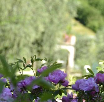 Malcesine Apartment | "Villa Giulia Nicole" Apartaments- Country House