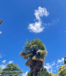 Crespano del Grappa Hotel | Villa Scalabrini