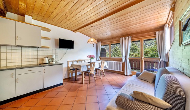 Apartment 'Mayrhof Ahorn' with Mountain View, Wi-Fi & Balcony
