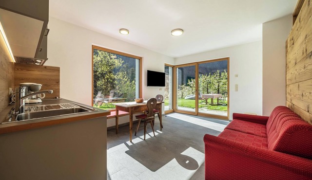 Apartment 'Mayrhof Vergissmeinnicht' with Mountain View, Wi-Fi, Balcony & Garden