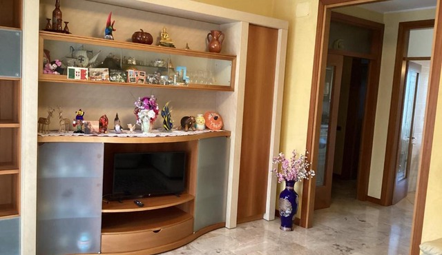 appartamento a 1/2 ora da Venezia