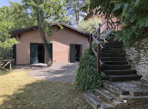 B&B La Collina degli Ulivi