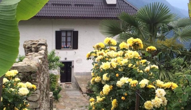 B&B La Locanda del Cinghiale