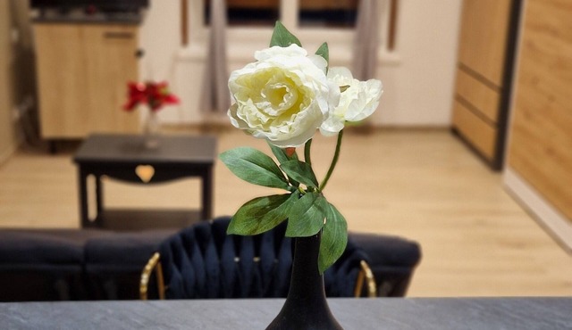 Chic & Design 3-person studio near downtown Thonon-Les-Bains in Thonon-les-Bains