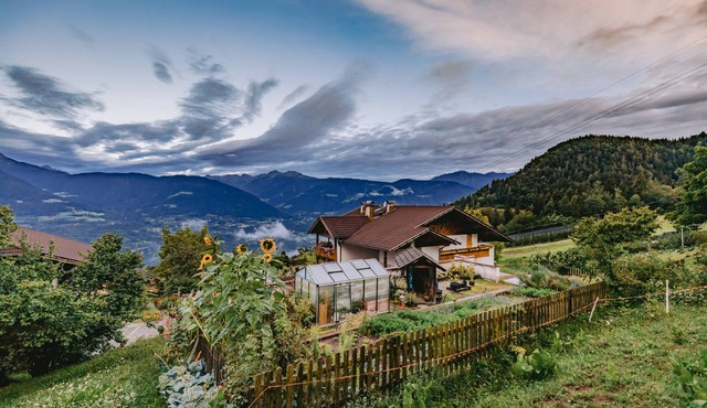 Eichernhof Apartment Apfelblüte – Delicious Vital Breakfast and Dinner Available on Request