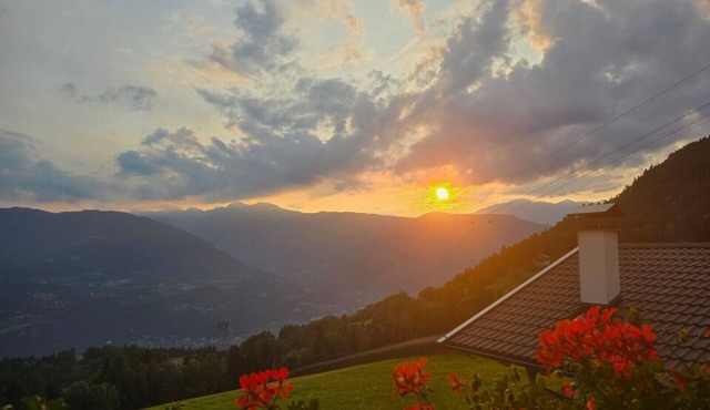 Eichernhof Apartment Marillenblüte – Delicious Vital Breakfast and Dinner Available on Request