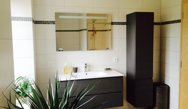Furnished 4 pers. 100m² New Ultra equipped with every comfort in Dambach