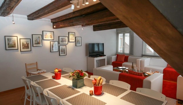 herzog duplex ac 160m2 city center 5br 3bth in Colmar