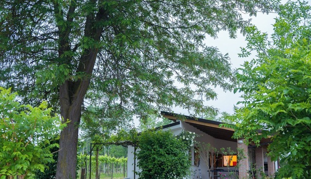 LUCIA's Sweet Home