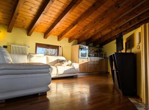 Openspace Attic Apartment with terrace, Wi-Fi