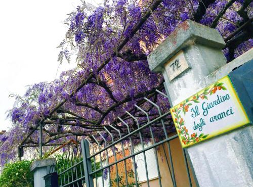 Orange Garden in Minturno