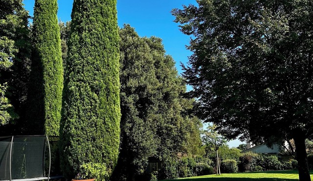 Peaceful Asolo Villa: Huge Garden & Walk to Town