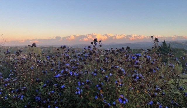 Piedmont: A getaway with panoramic views at an UNESCO World Heritage Site! in Piemonte