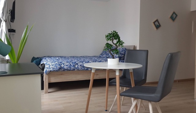 Quiet, comfortable studio for a stay in Dijon in Dijon
