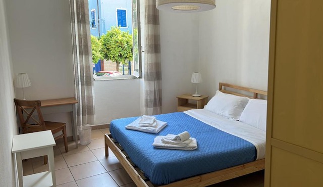 siesta terra new