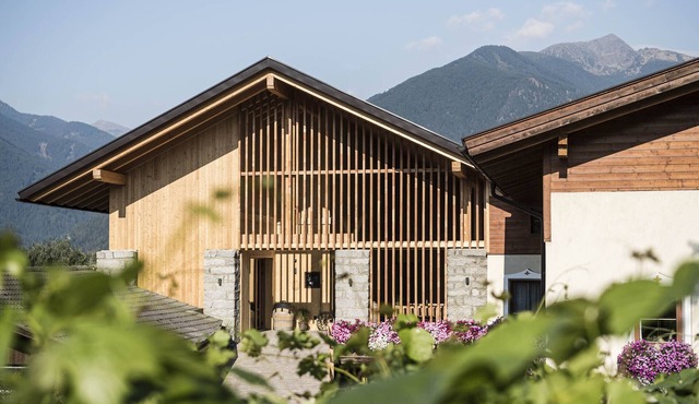 Stadl Chalet Töllhof