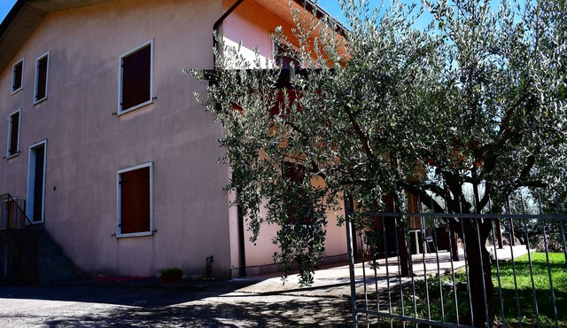 The Grandparents' House
