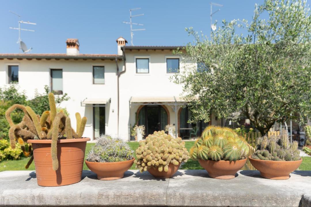 Gargagnago di Valpolicella Apartment | Margherita House Vineyards, Nature, and Relaxation