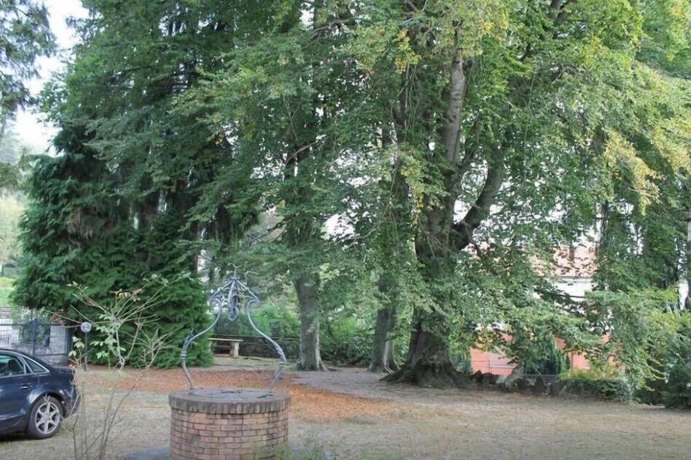 Photo of Outdoor in Alpino