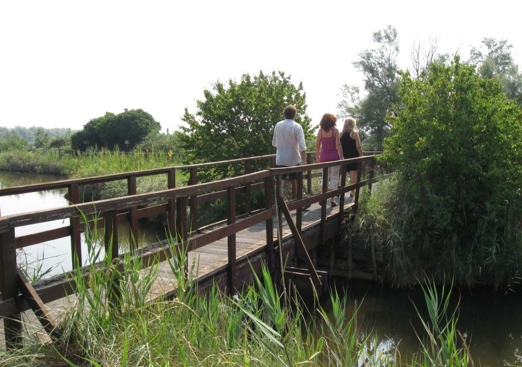 Photo of Outdoor in Volano
