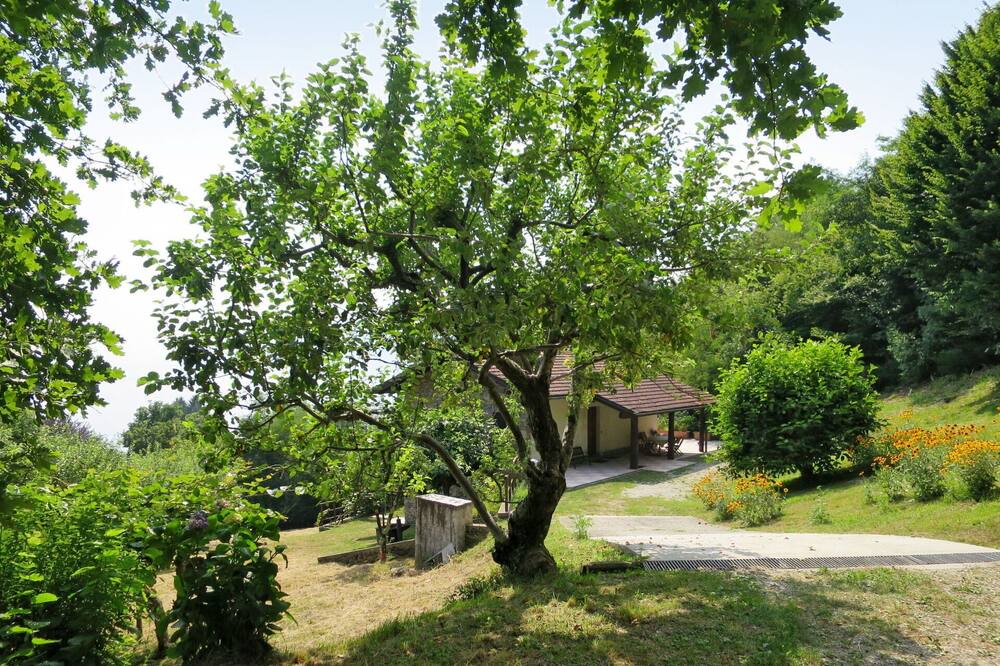 Photo of Others in Colmegna
