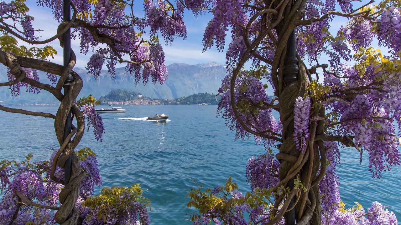 Photo of Outdoor in Menaggio
