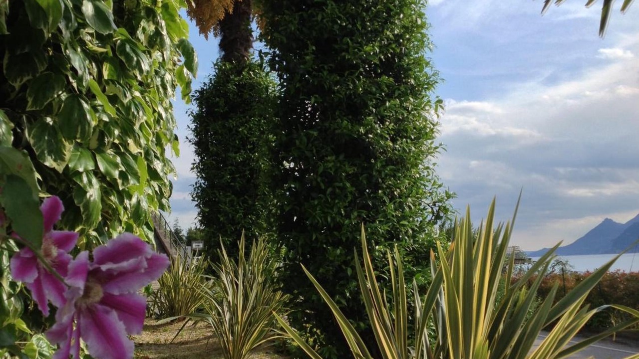 Photo of Outdoor in Malcesine