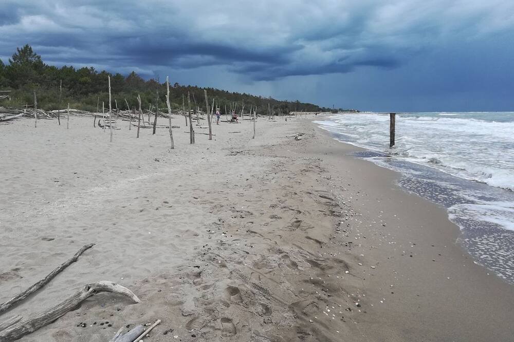 Photo of Others in Lido di Dante