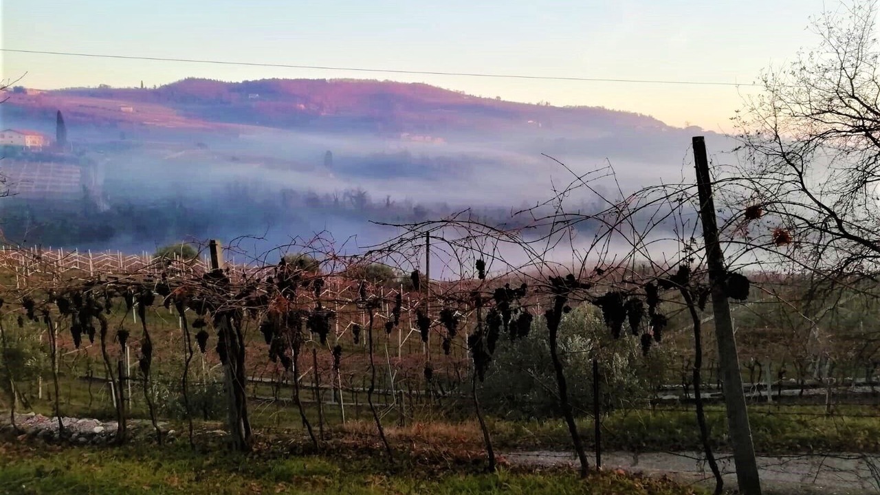 Photo of Outdoor in Marano di Valpolicella