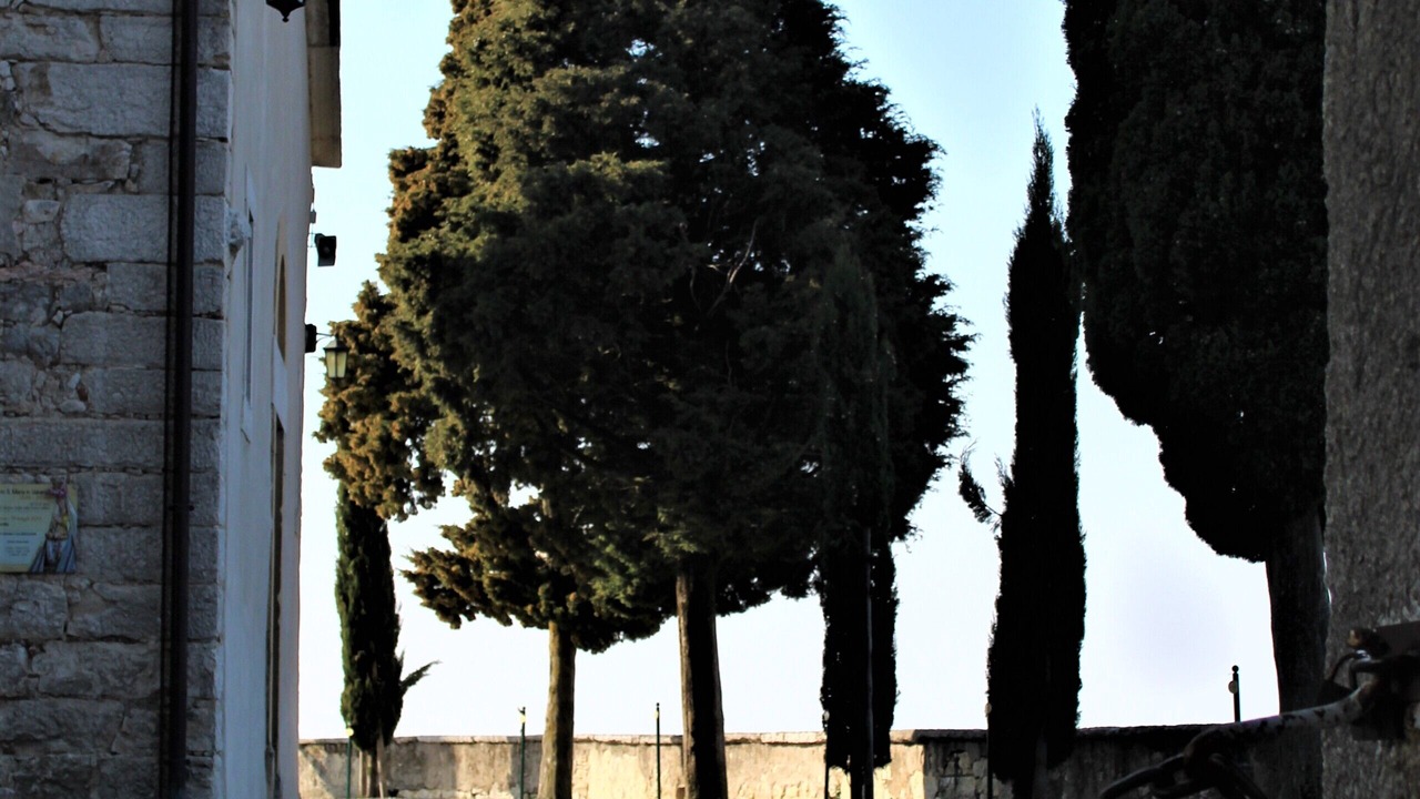 Photo of Outdoor in Marano di Valpolicella