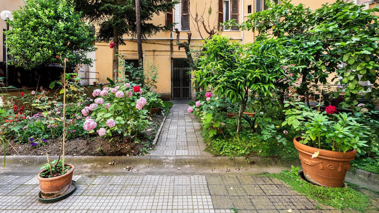 Photo of Outdoor in San Lorenzo