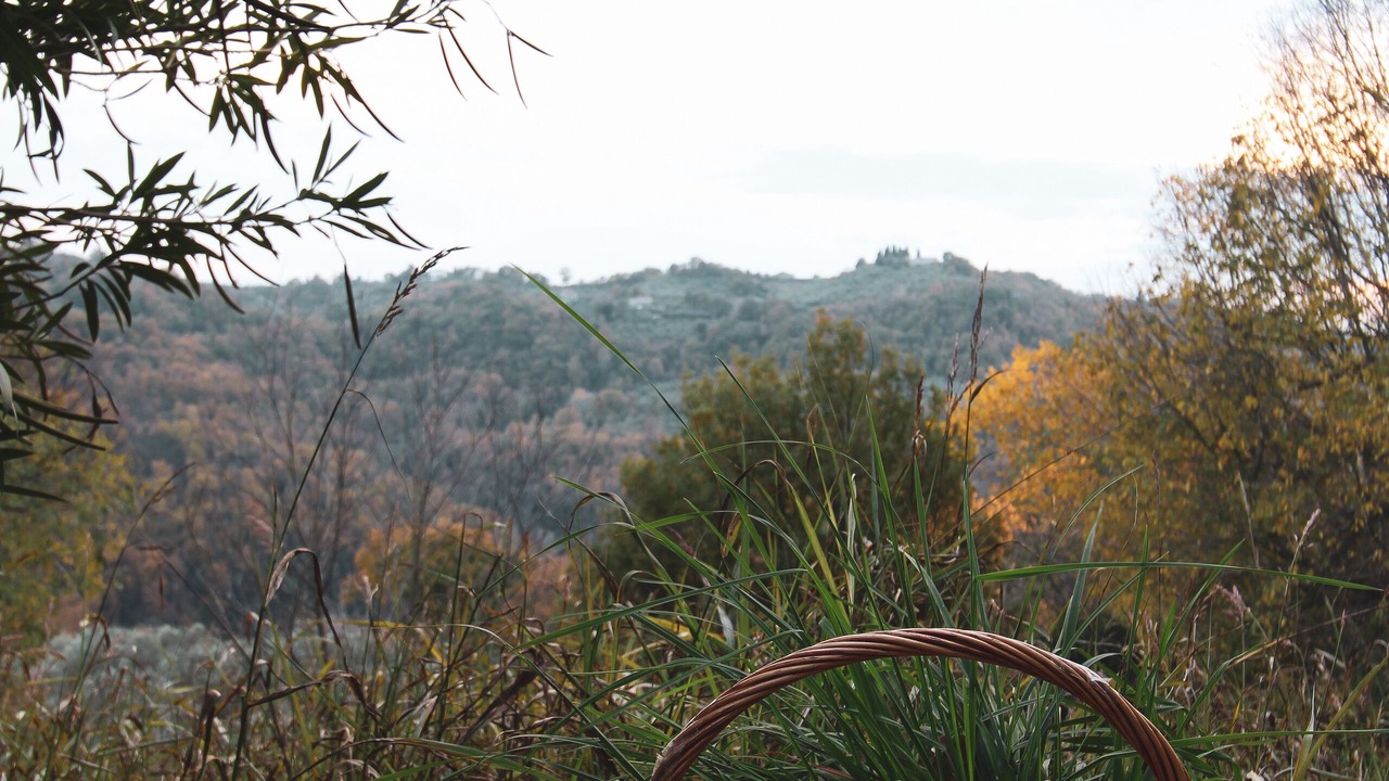 Photo of Outdoor in Casaprota