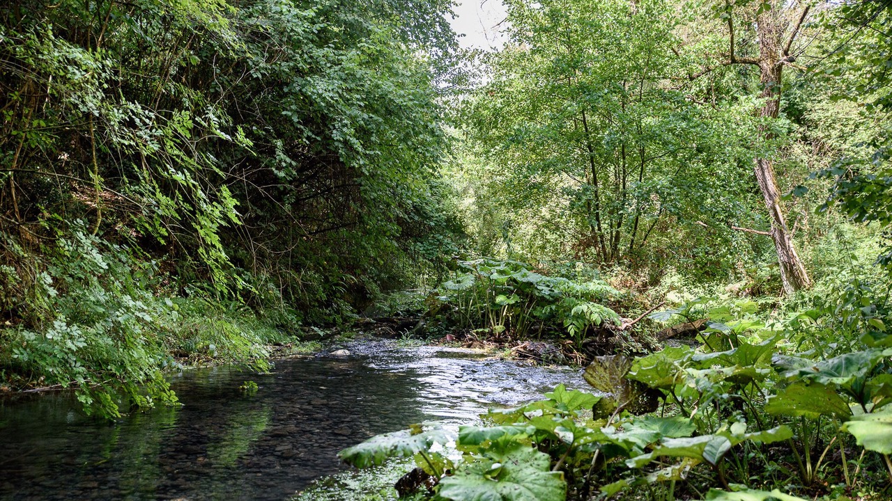 Photo of Outdoor in Casaprota