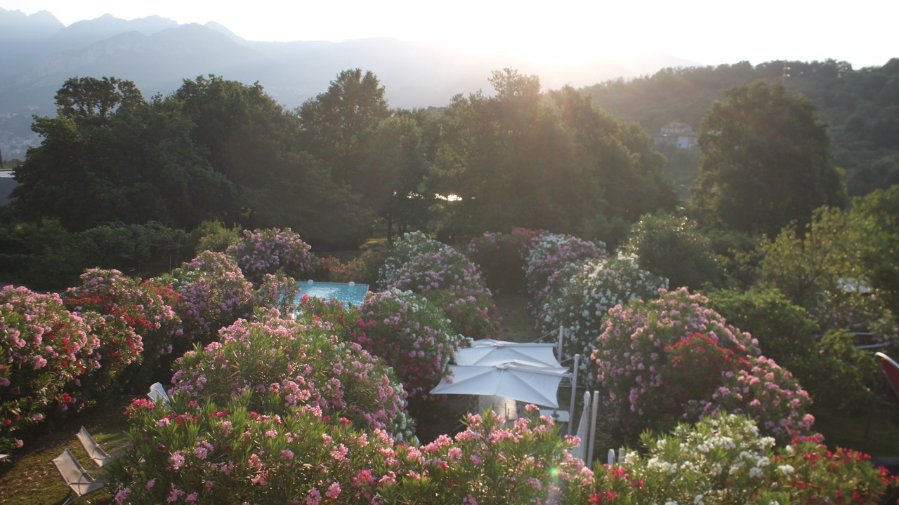 Photo of Outdoor in Valgreghentino
