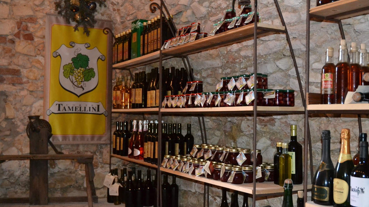 Photo of Others in Soave