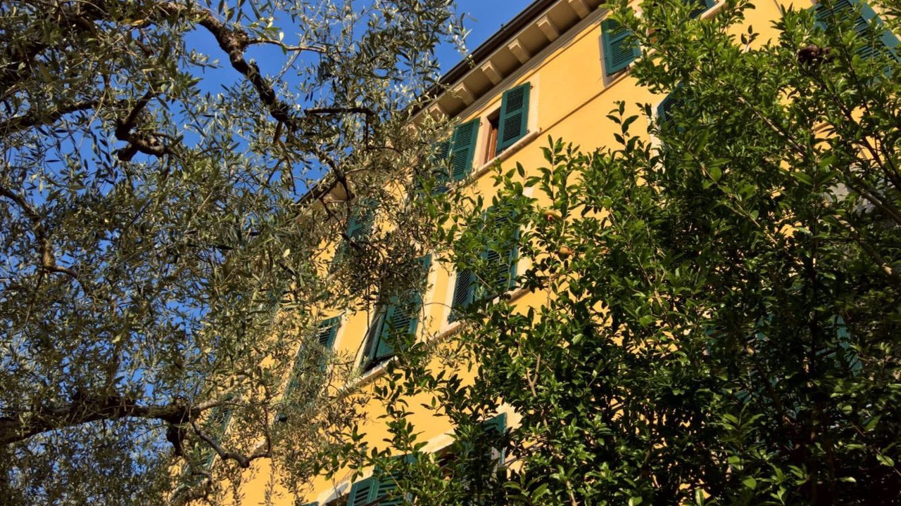 Photo of Outdoor in Gargnano