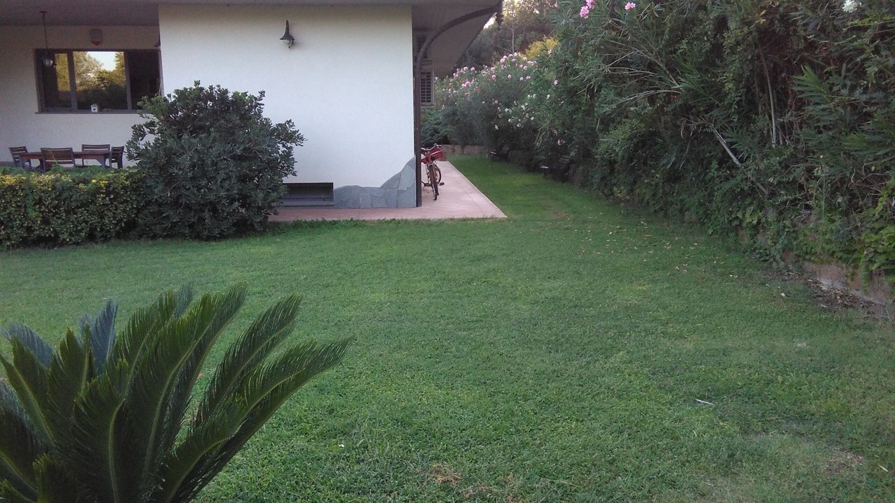 Photo of Outdoor in Ardea