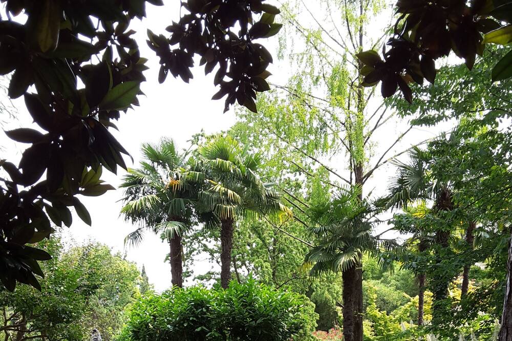 Photo of Outdoor in Aer