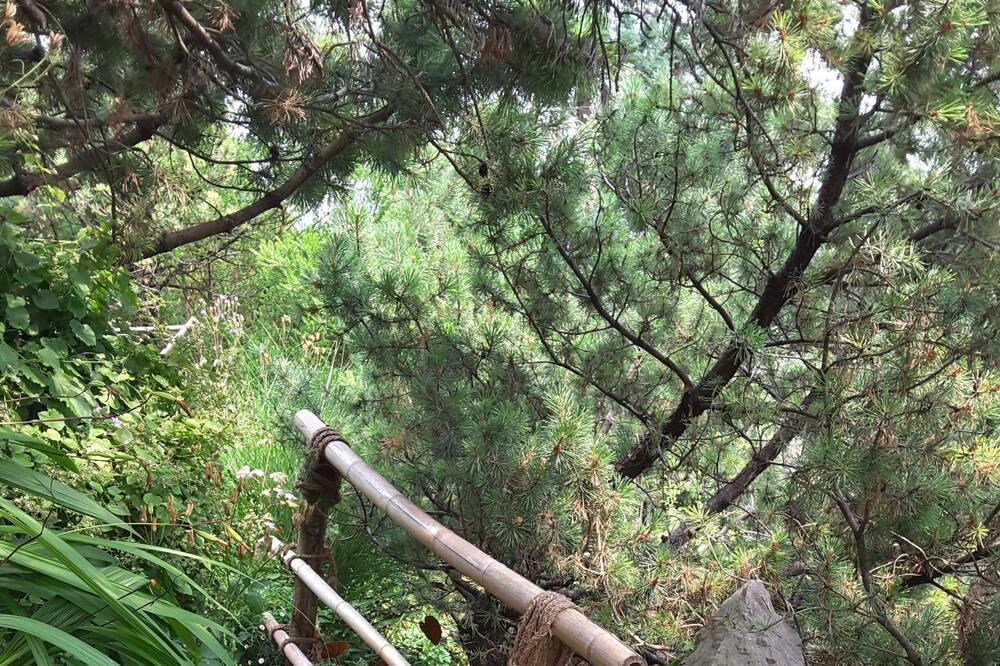 Photo of Outdoor in Aer