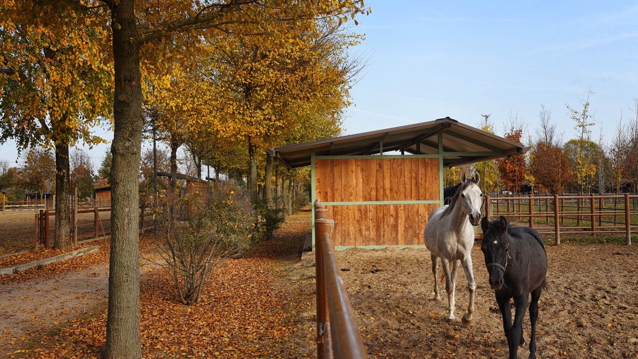 Photo of Outdoor in Rovigo