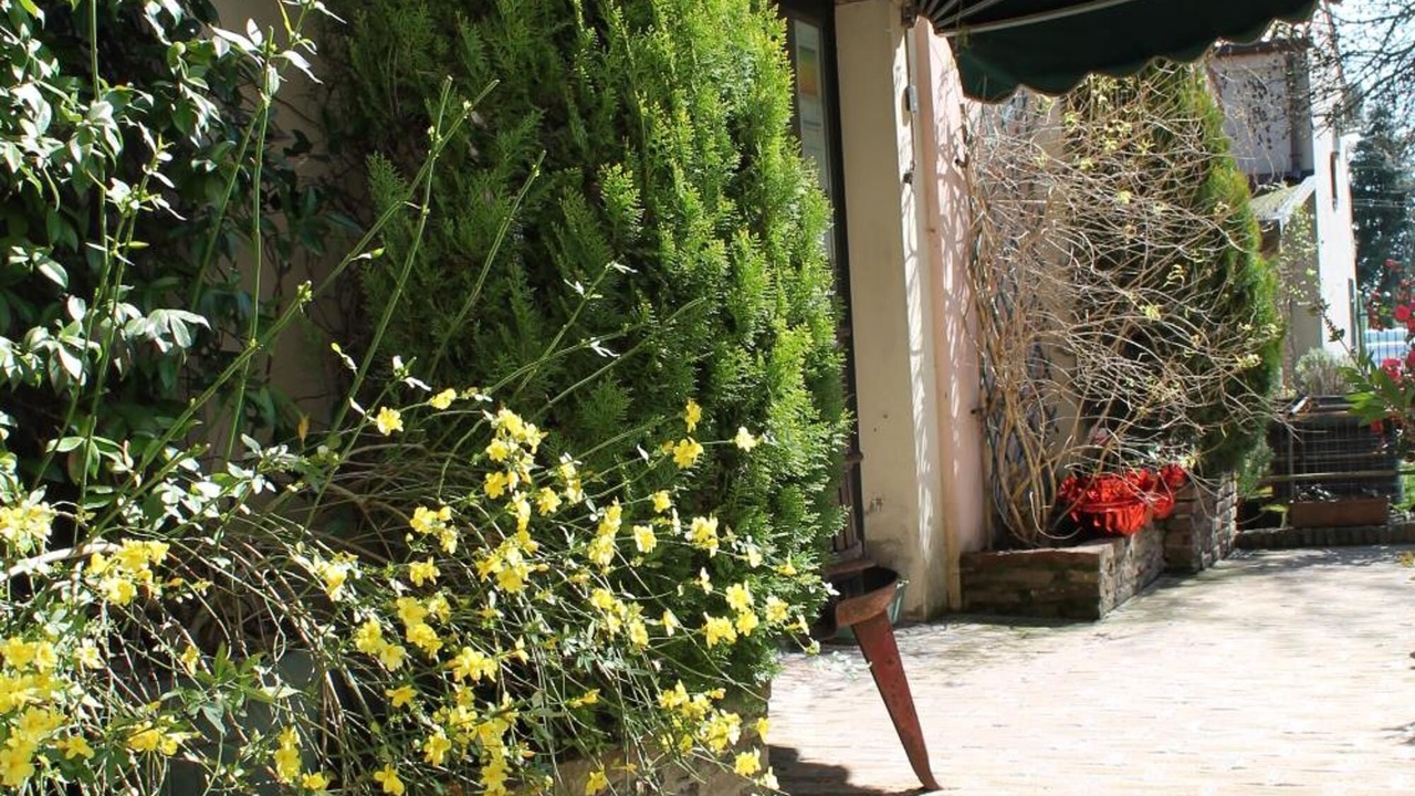 Photo of Outdoor in Badia Polesine