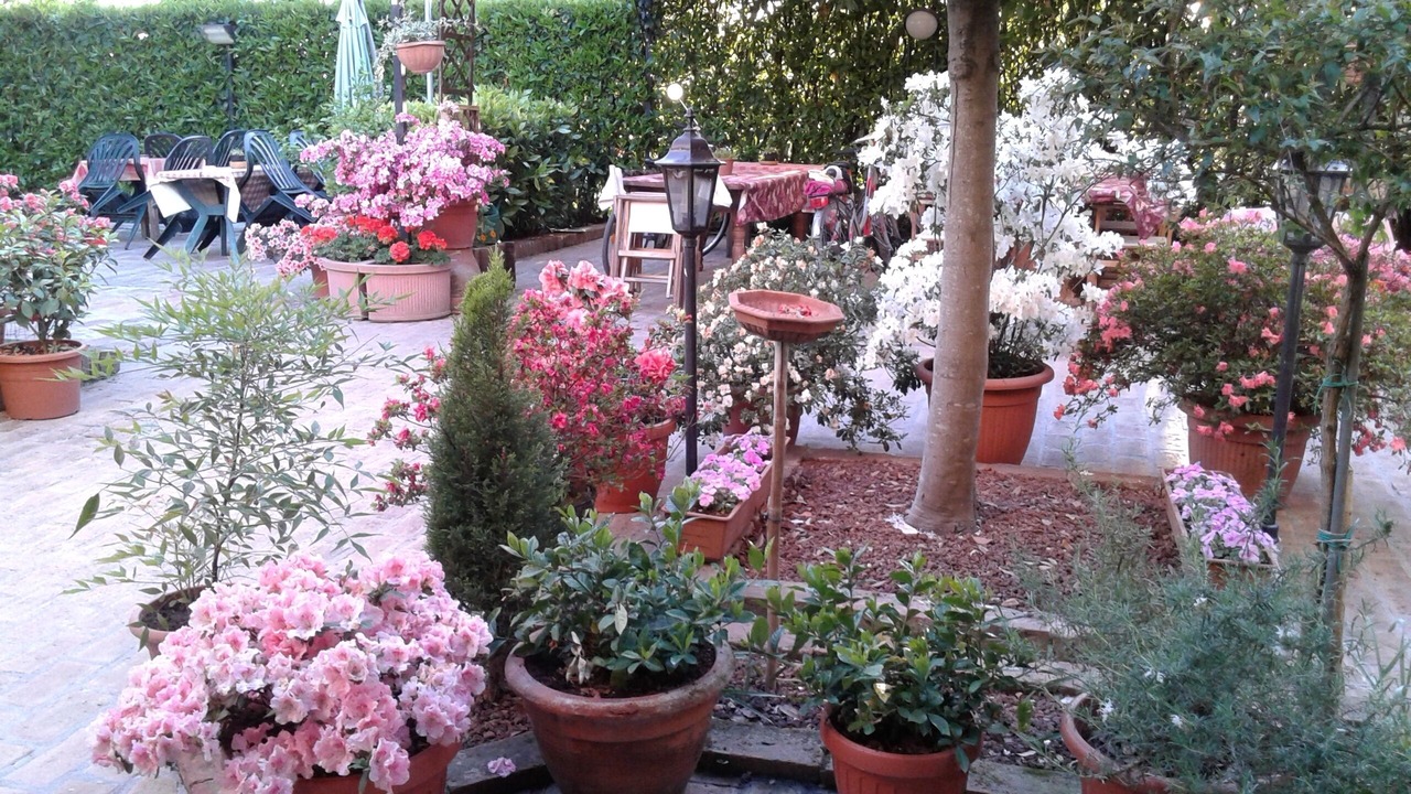 Photo of Outdoor in Badia Polesine