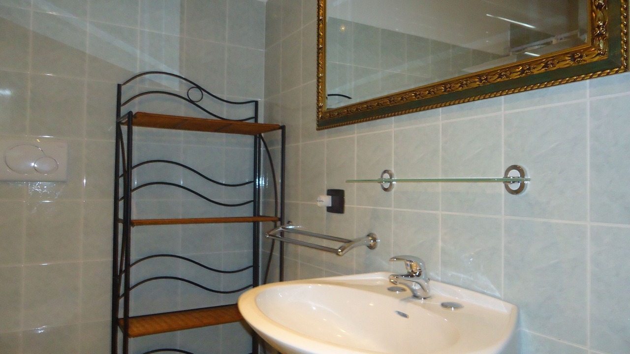 Photo of Bathroom in Idro