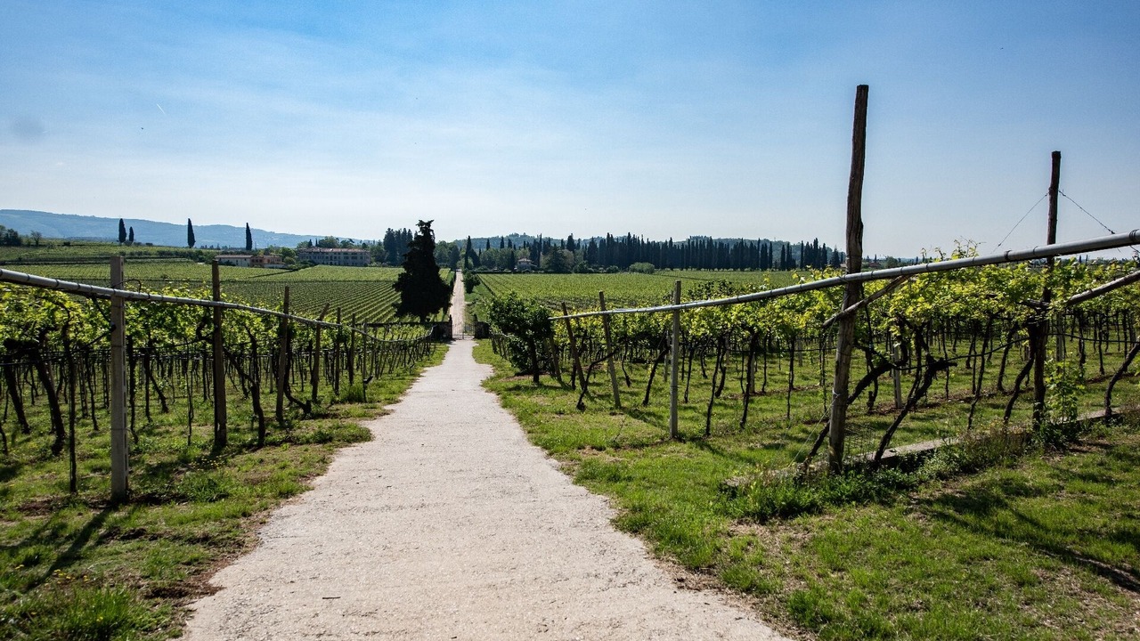 Photo of Outdoor in San Pietro in Cariano