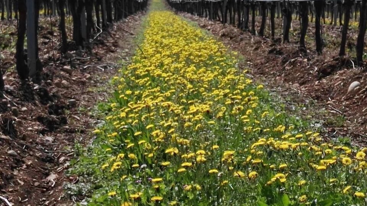 Photo of Outdoor in San Pietro in Cariano