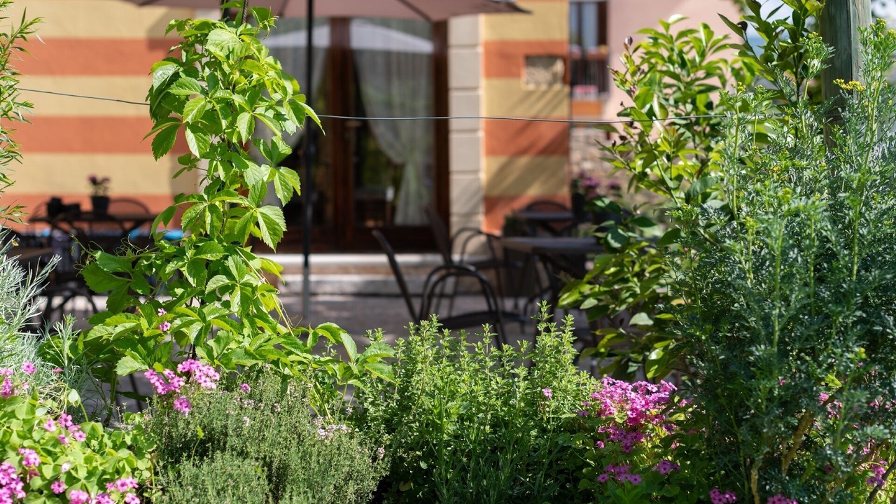Photo of Outdoor in San Pietro in Cariano