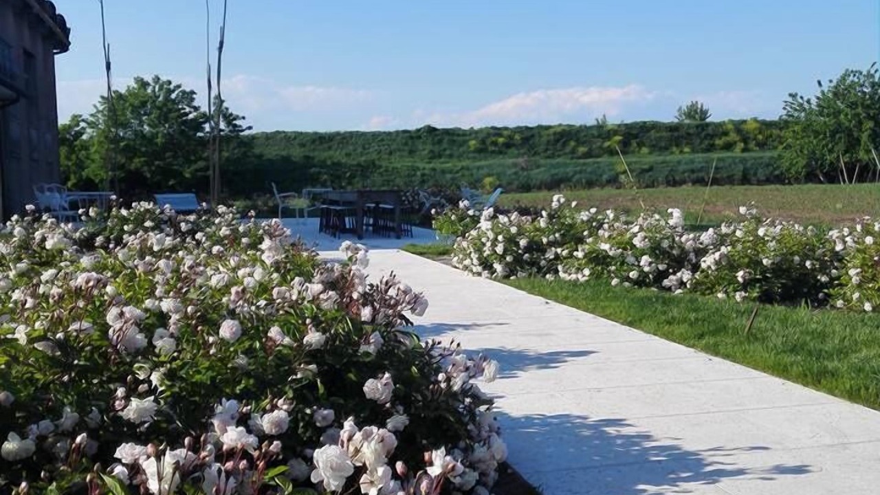 Photo of Outdoor in San Bonifacio