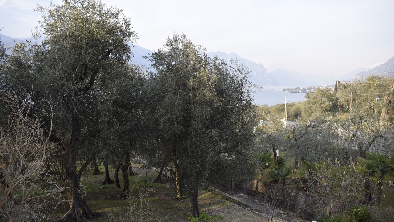 Photo of Outdoor in Assenza