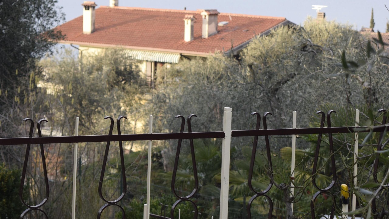 Photo of Outdoor in Assenza